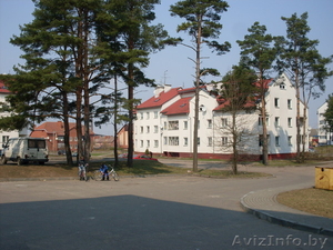 трехкомнатная квартира в поселке Чисть #1256600