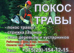 Покос травы,  стижка газонов,  спил (распил) деревьев #1253312