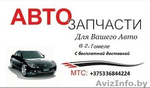 автозапчасти гомель с бесплатной доставкай #1249004
