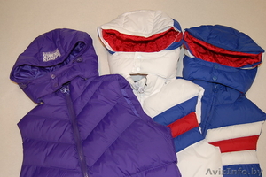 Продажа оптом куртки,  жилетки Warren Webber,  мужские,  демисезонные #1244437