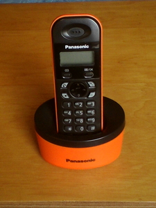 Радиотелефон Panasonic KX-TG1311RU  #1245618