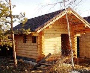 Сруб с зимнего леса #1268839