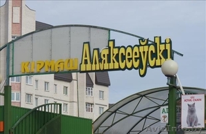 ТОРГОВЫЙ ПАПИЛЬОН АЛЕКСЕЕВСКИЙ РЫНОК #1263131