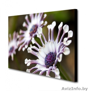 Печать на холсте #1264422