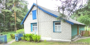 Отдых на Браславах #1270976