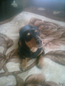 Мужчина в доме. #1174912