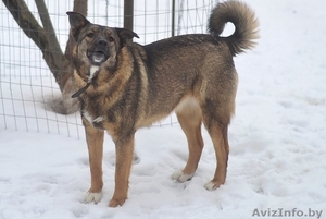 Вита.Юная охранница ищет постоянную работу. #1262692