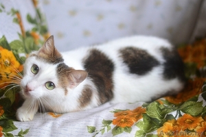 Мишель – нежность в каждом прикосновении #1281557