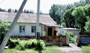 Дом в г. Орша 65 кв.м #1277161