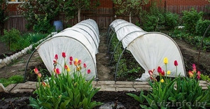 Продам парники оптом #1276852