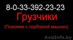 Услуги профессиональных грузчиков #1275920