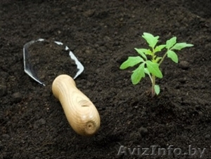 Грунт растительный торфяной в мешках,  доставка,  грузчики #1273138