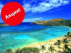 Акция на регистрацию компании в юрисдикции Белиз и открытие счета #1285788