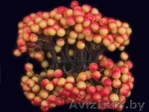 Материалы для хобби #1293998