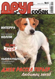 Щенки Джек-Рассел терьера #1287513