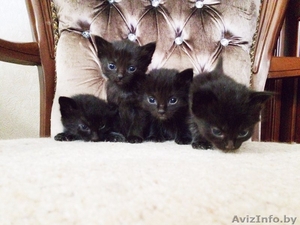 Очаровательные детки! #1293033