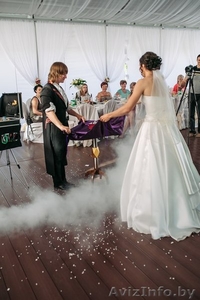 шоу на свадьбу,  фокусник,  мыльные пузыри #1299764