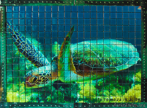 Шикарная фотомозаика #1299550