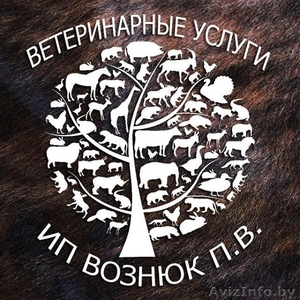 Ветеринарные услуги для КРС и домашних питомцев #1301459