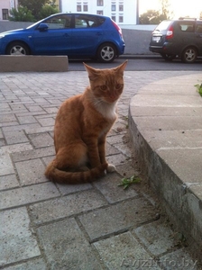 ПОМОГИТЕ!!!!!!!!!!!!! #1300765