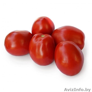 Семена томата KS 720 F1 фирмы Китано #1297225