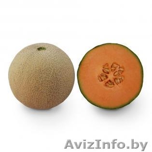 Семена дыни KS 7049 F1 фирмы Китано #1296807