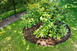 Пластиковый садовый бордюр BORDER  #1318600