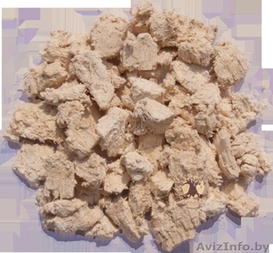 Агарикус Лиственничная губка гриб агарик #1315370