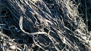 ПП веревки с сельского хозяйства (поставки из стран ЕС). #1308971