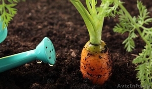 Грунт растительный в мешках  #1324587