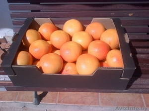 Грейпфрут Pomelo из Испании #1329780