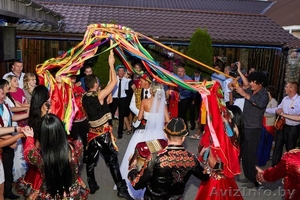 Цыганское шоу Кустурица на праздник #1324971