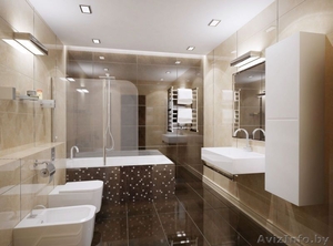 Ремонт санузла и кухни 