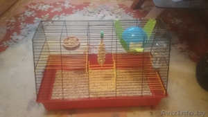 клетка для крысы #1324041