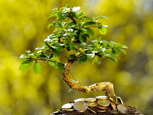 Бухгалтерские услуги 