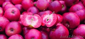  Яблони красномякотные  #1341386