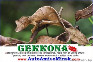 АПУУ «GEKKONA» (Геккона) ноу-хау от АвтоАмиго-Минск #1340845