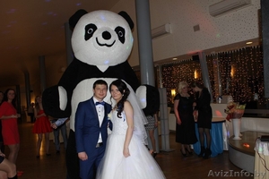 Танцующая гигантская ПАНДА на праздник в Бресте и регионах #1342116