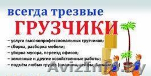 Грузчики,  подъем на этаж,  вынос мусора #1333824