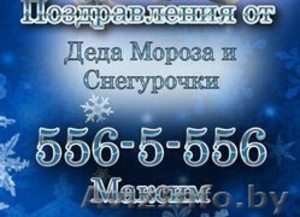 Дед Мороз и Снегурочка на дом,  офис,  сад,  школу #1340397