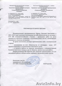 Спилить дерево,  удалить дерево,  срубить дерево,  обрезать сад,  арбористика #1332503