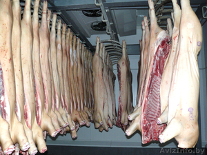 СВИНИНА ТУШИ  ПОЛУТУШИ #1333240