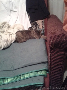 Маняша ищет дом #1336853