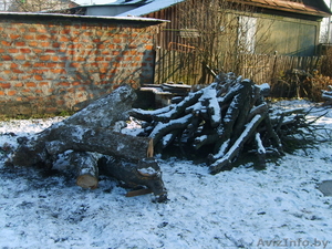 Дрова яблоня,  груша #1346114