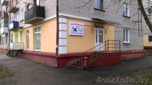 Стрижка собак и кошек(груминг) #1350895