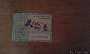 Проездной документ на месяц #1354089