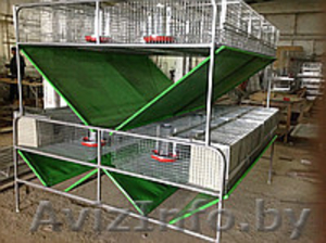 Клетки для Кролика Птицы #1363776