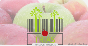 Фрукты,  овощи ОПТом из Польши #1358305