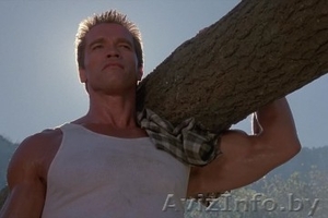 Различные услуги #1357945