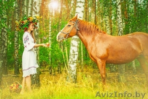 продам лошадь,  9 лет #1361746